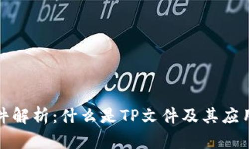 TP文件解析:什么是TP文件及其应用场景